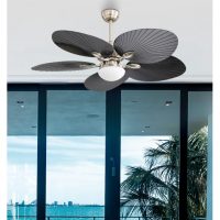 Ventilador  Dc Chaw 24w 2950lm Niquel/negro 5asp.6vel.132d  C/remoto, Memoria Y Temp.3000-4000-6000k