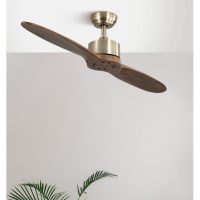 Ventilador Dc Leste Cuero 2 Aspas Roble Sin Luz 5 Velocidades Remoto Temporizador 132d